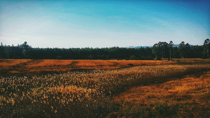 drive to the meander