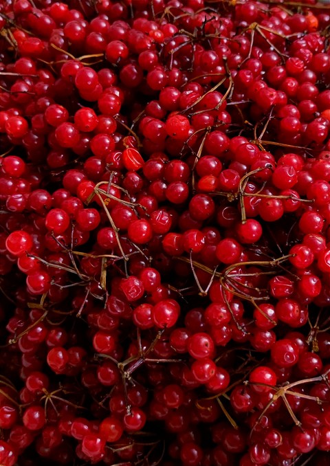 fruit, food háttérképek