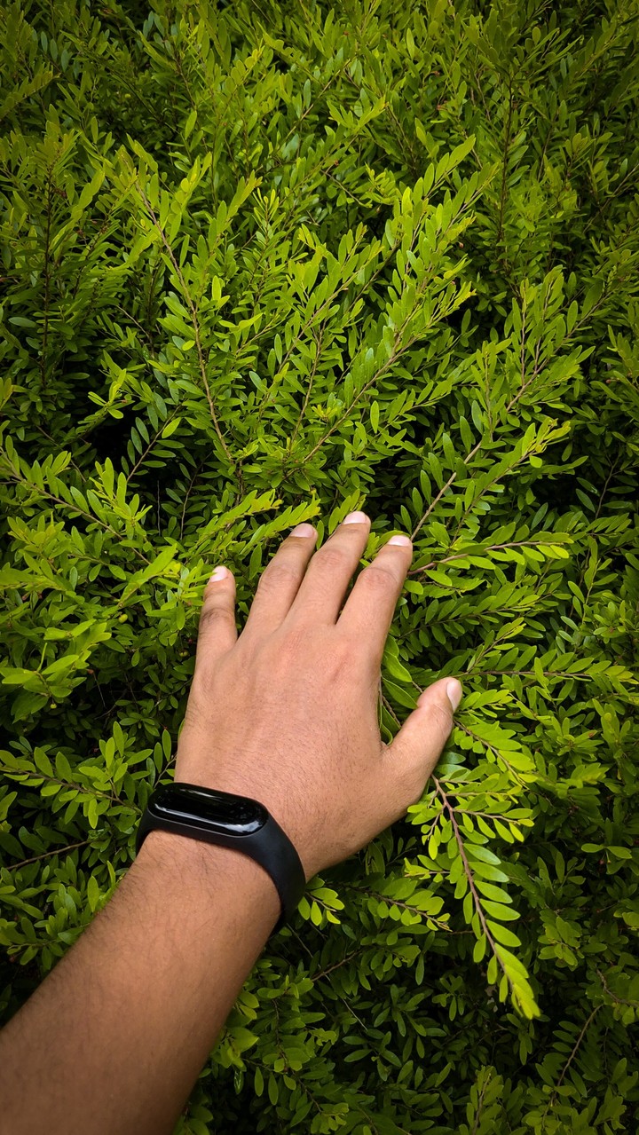 nature