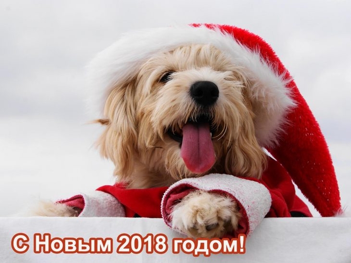 2018