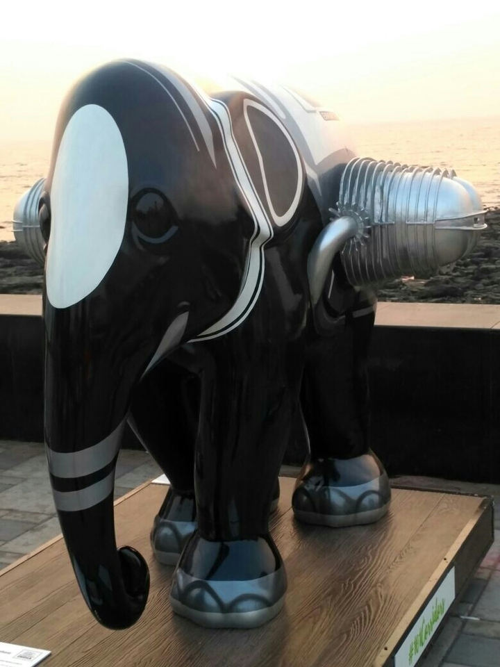 big elephant