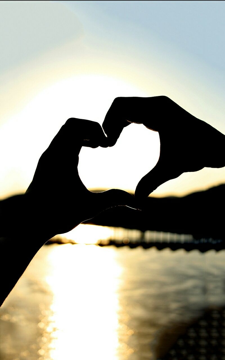 love