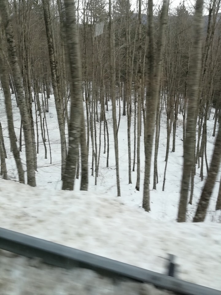 ❄️❄️❄️❄️