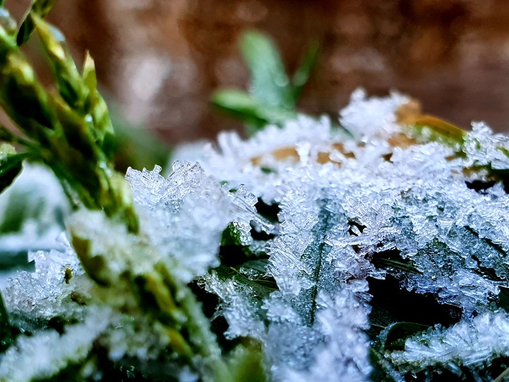 frost