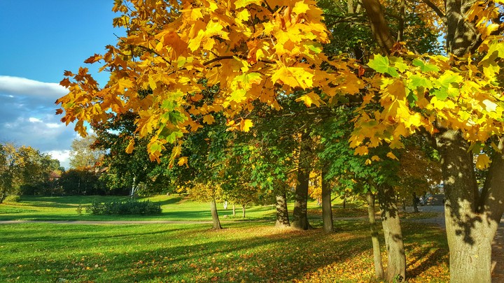 Colors of Autumn