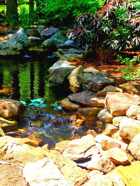 ταπετσαρίες vegetation, spring