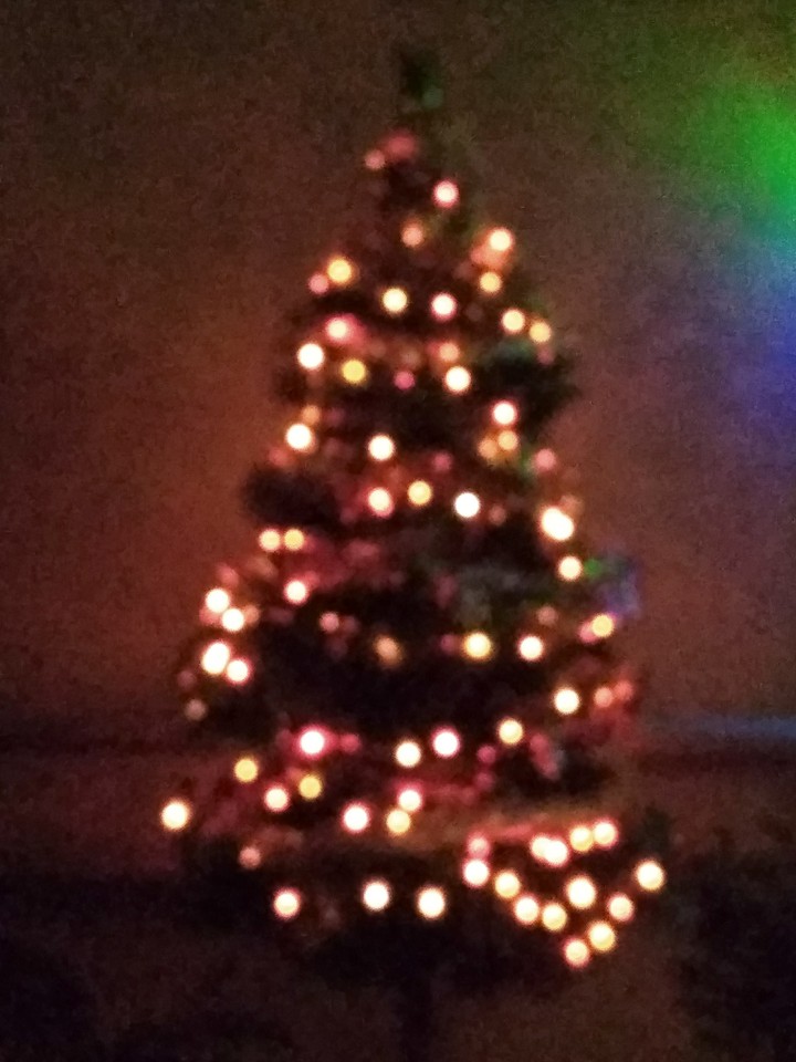 christmas tree