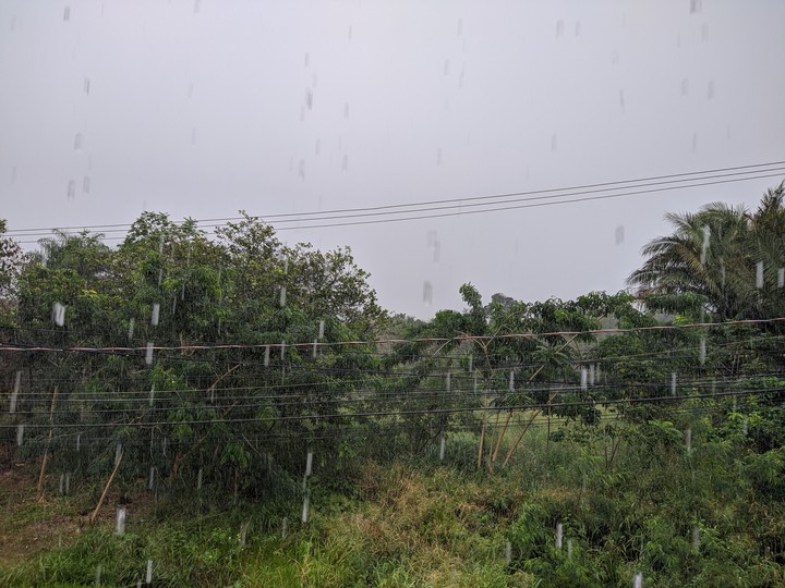 Dias de chuva