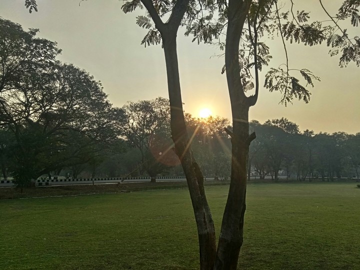 Sunrise