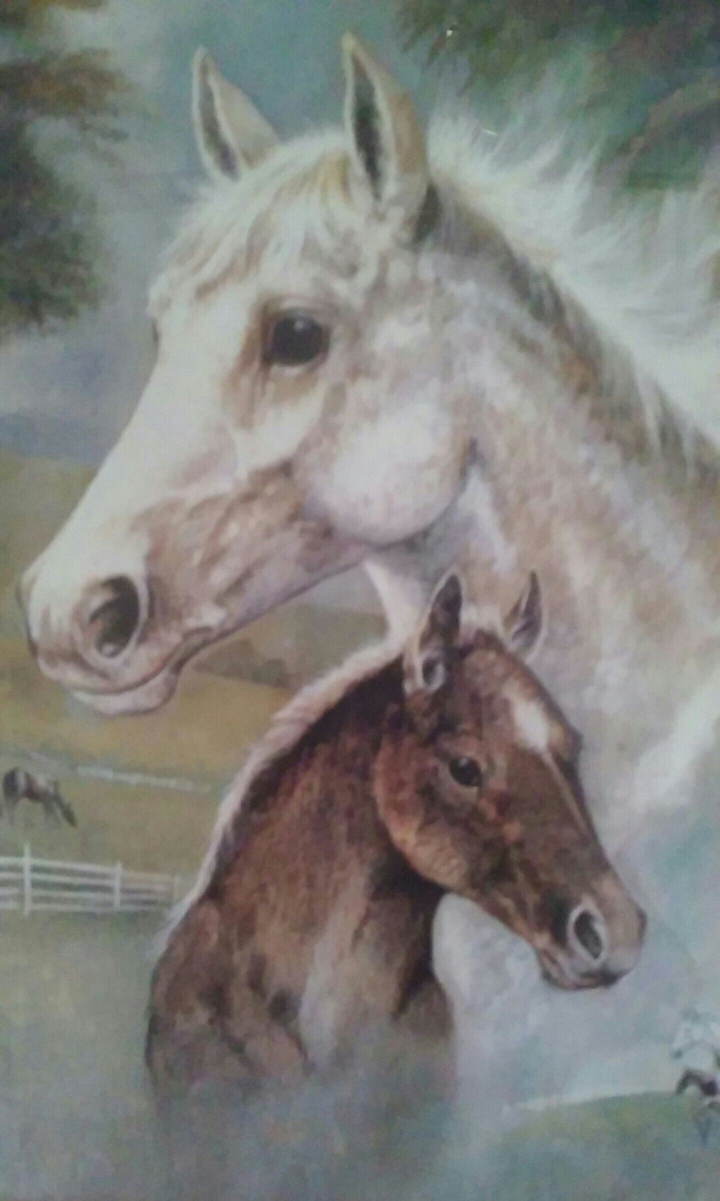 Horses