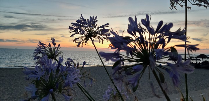 un soir d'été