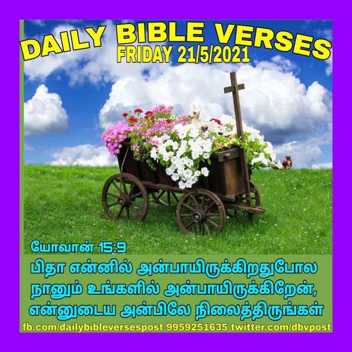 Daily Bible Verses