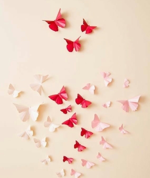 fonds d'écran Paper, pollinator
