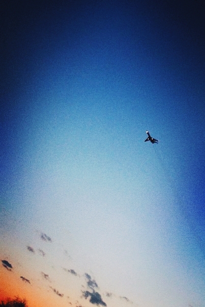 fly