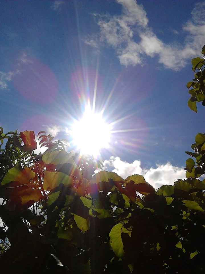 sun