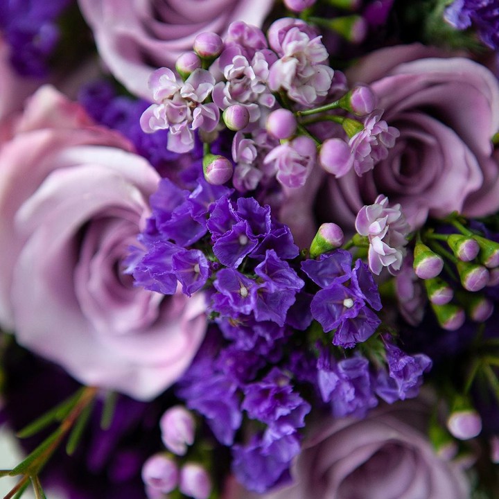 bouquet