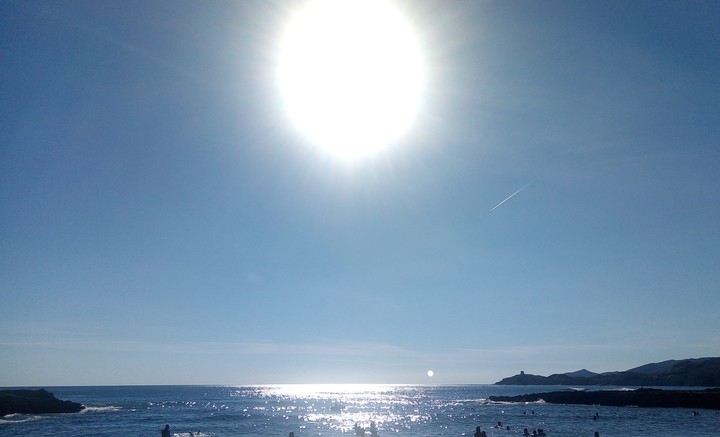 sole