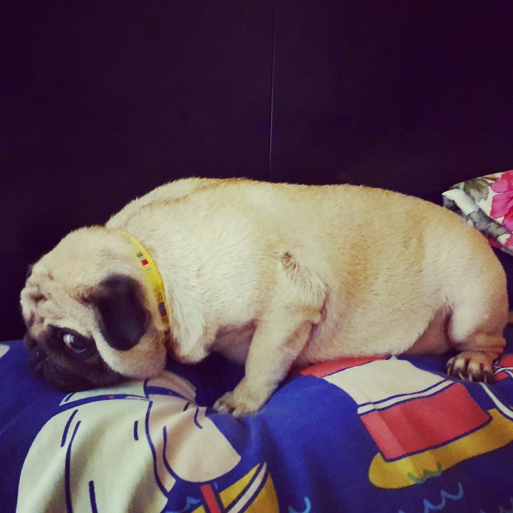 cute