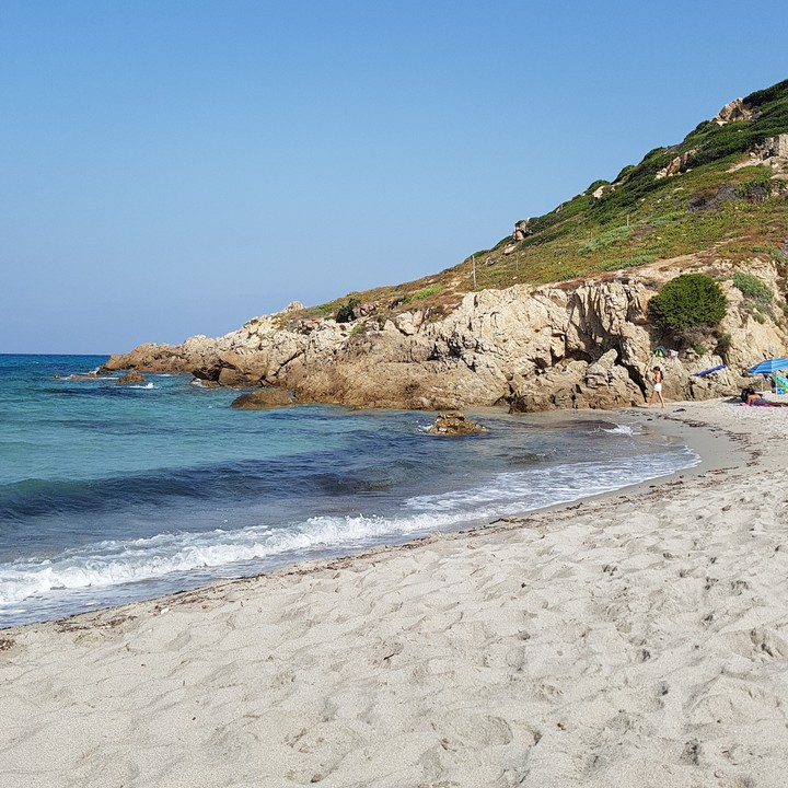 mare