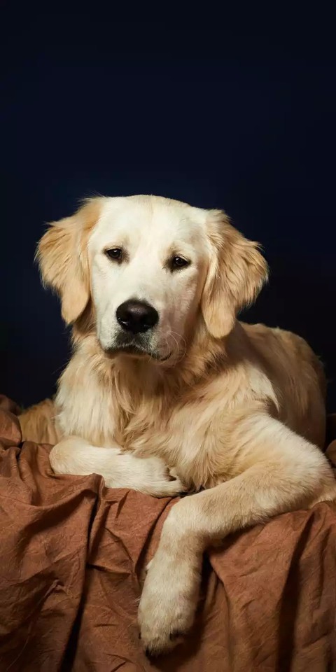 hi.....