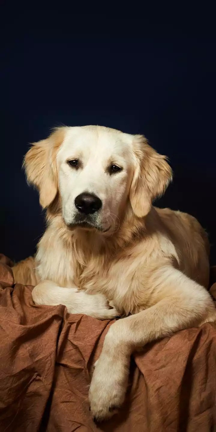 hi.....