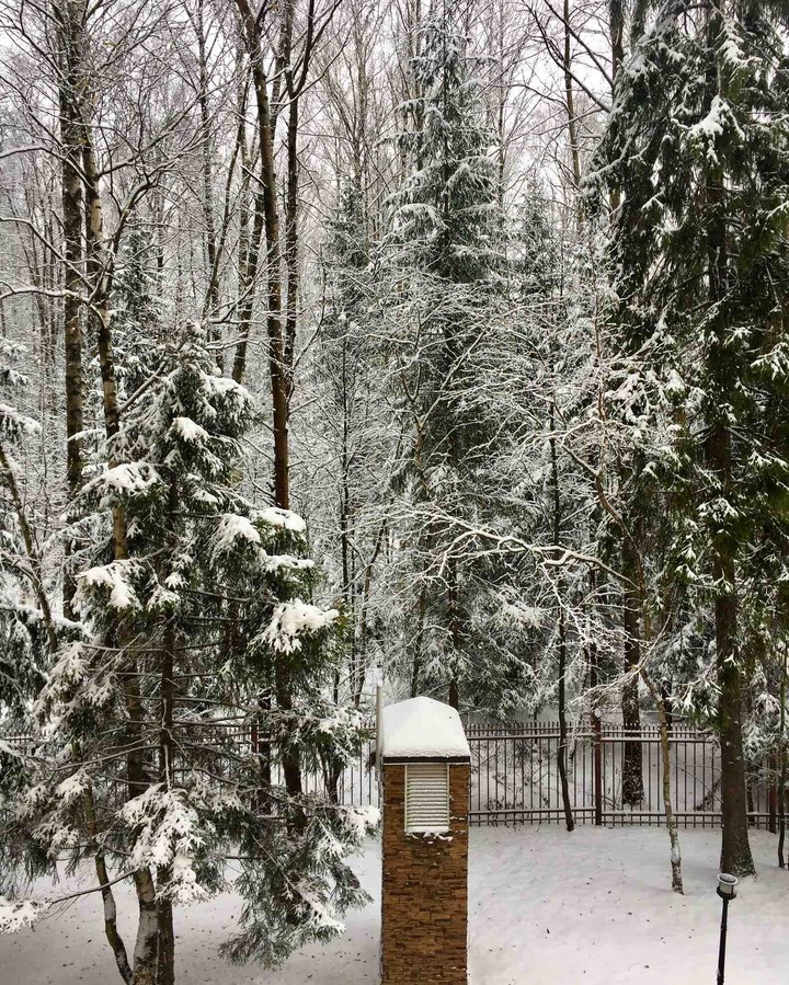 winter