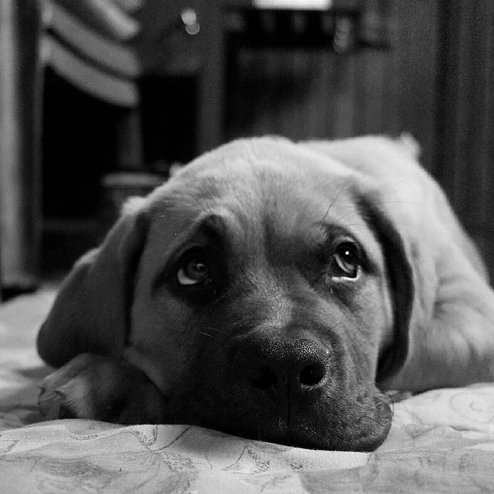 Jette <3