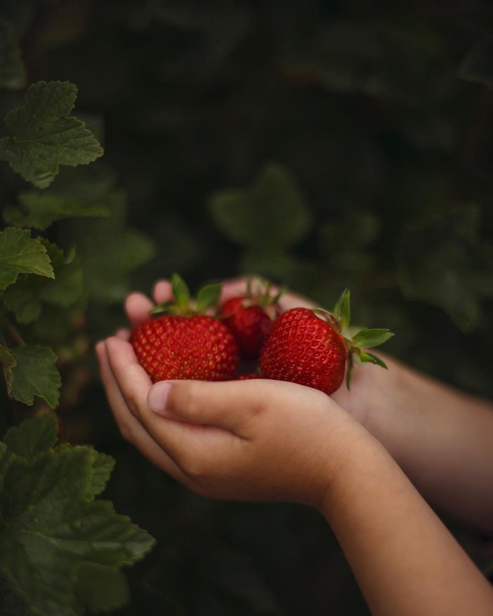 Strawberry