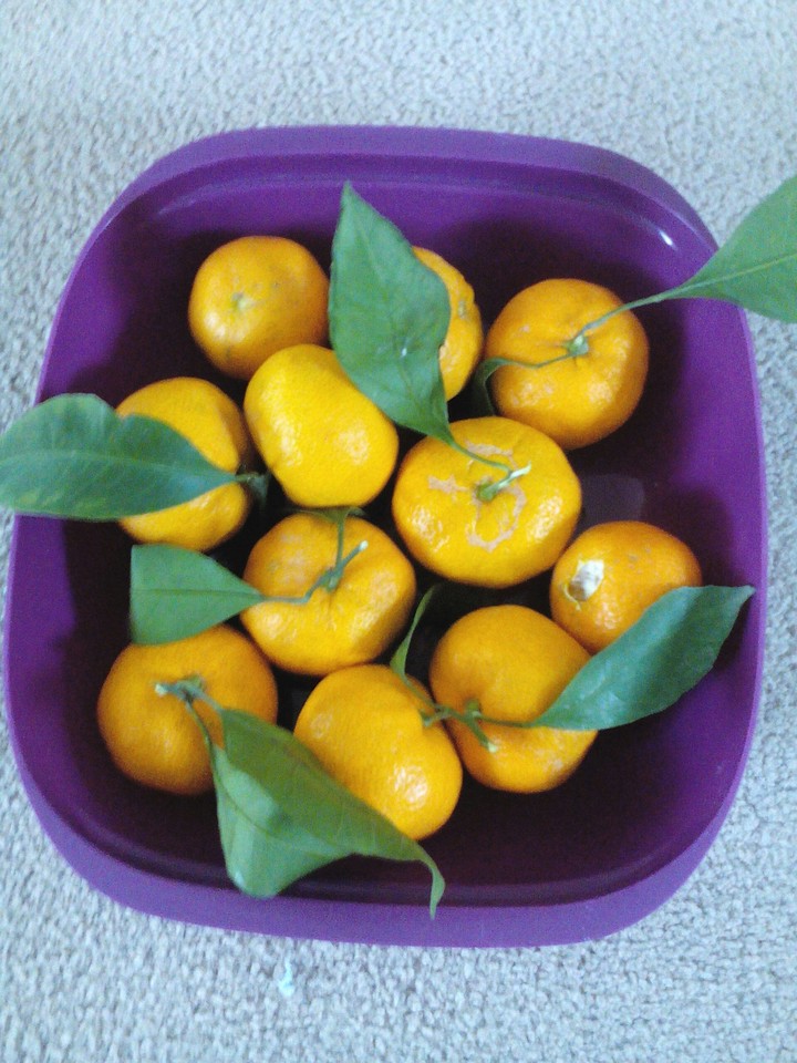 MANDARINS