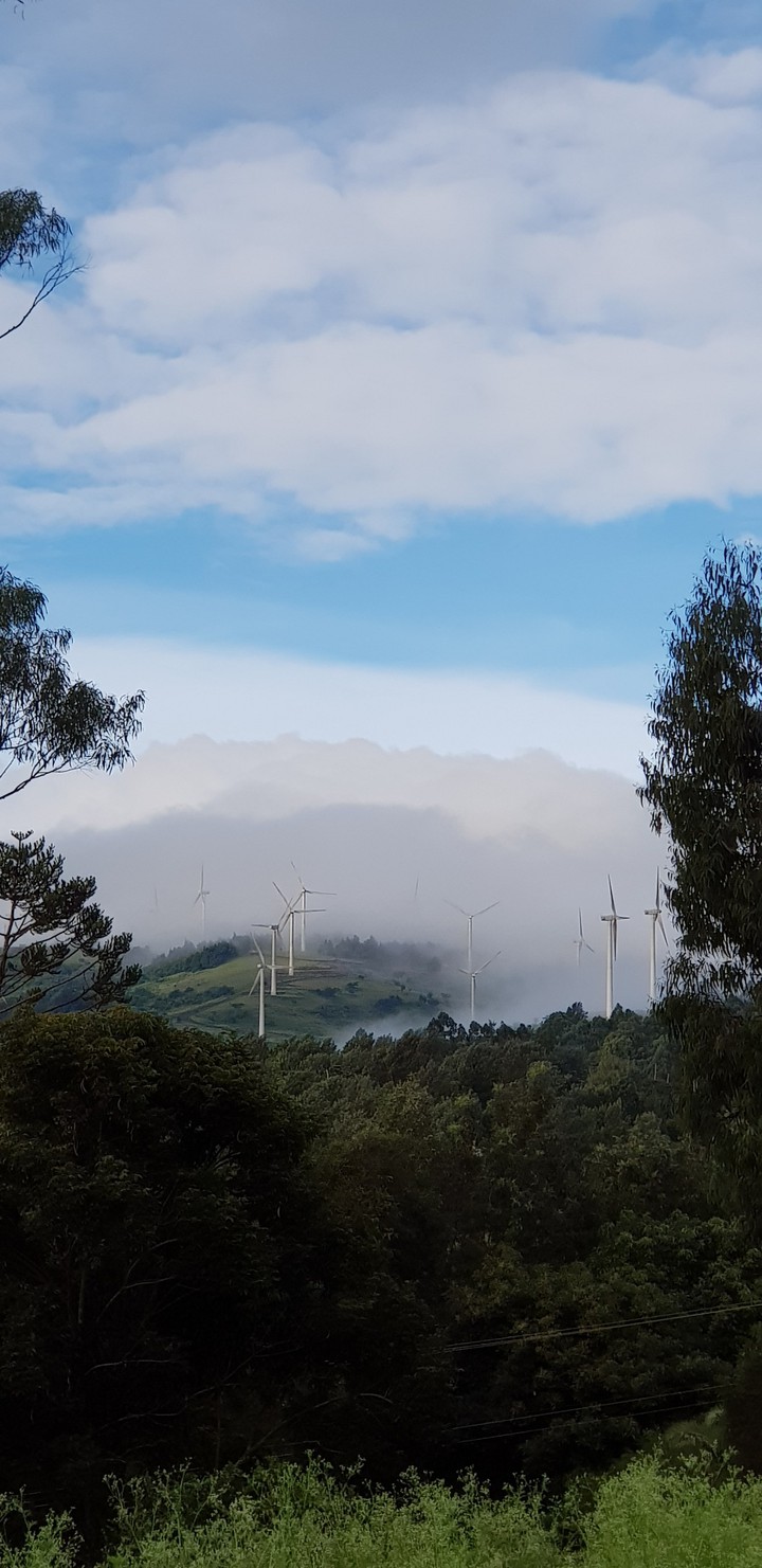 Windmills in Ngong, Kenya