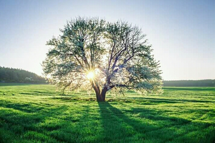 sunrise