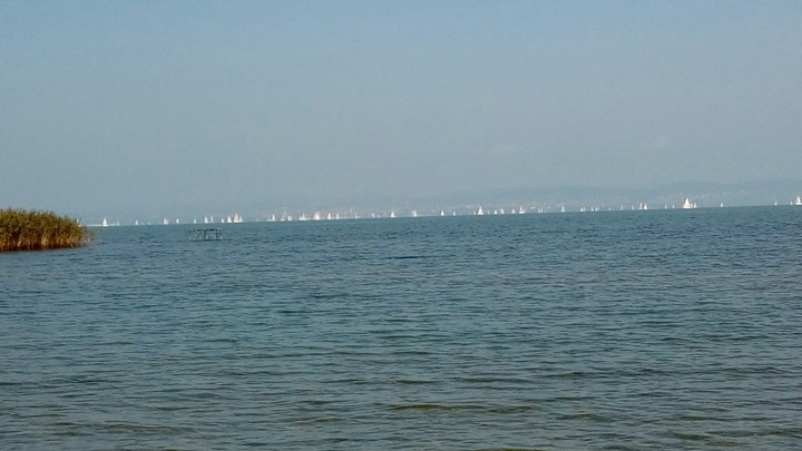 Balaton