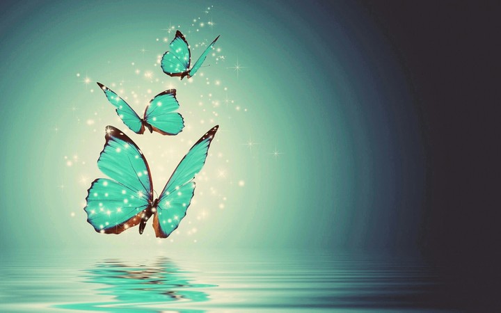 Beauty lies within