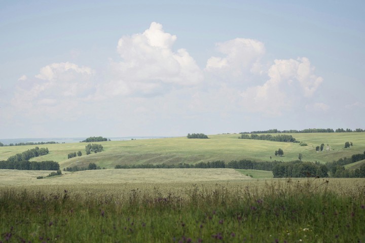 Siberian arable