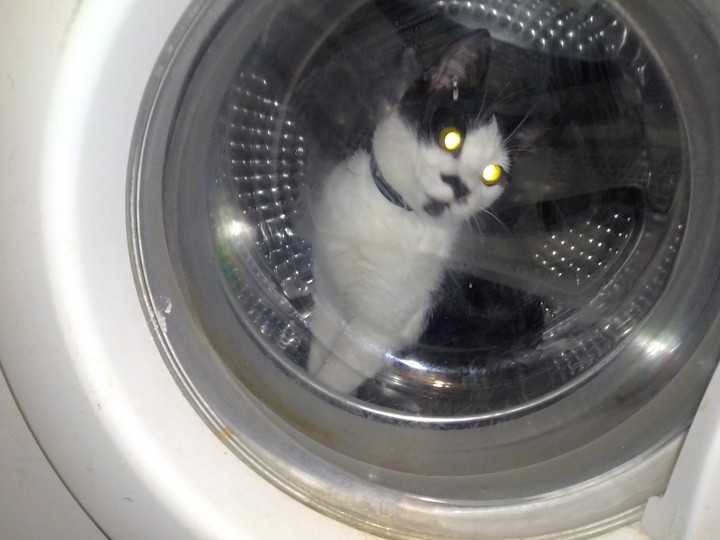 САМ ЗАЛЕЗ.Я ТОЛЬКО ДВЕРЦУ ПРИКРЫЛ)))