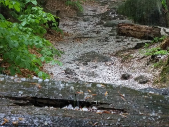 Hagel