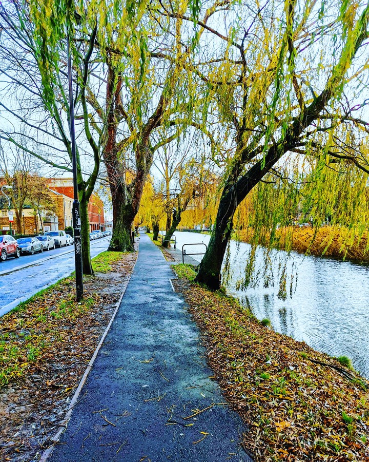 Dublin's Winter tale