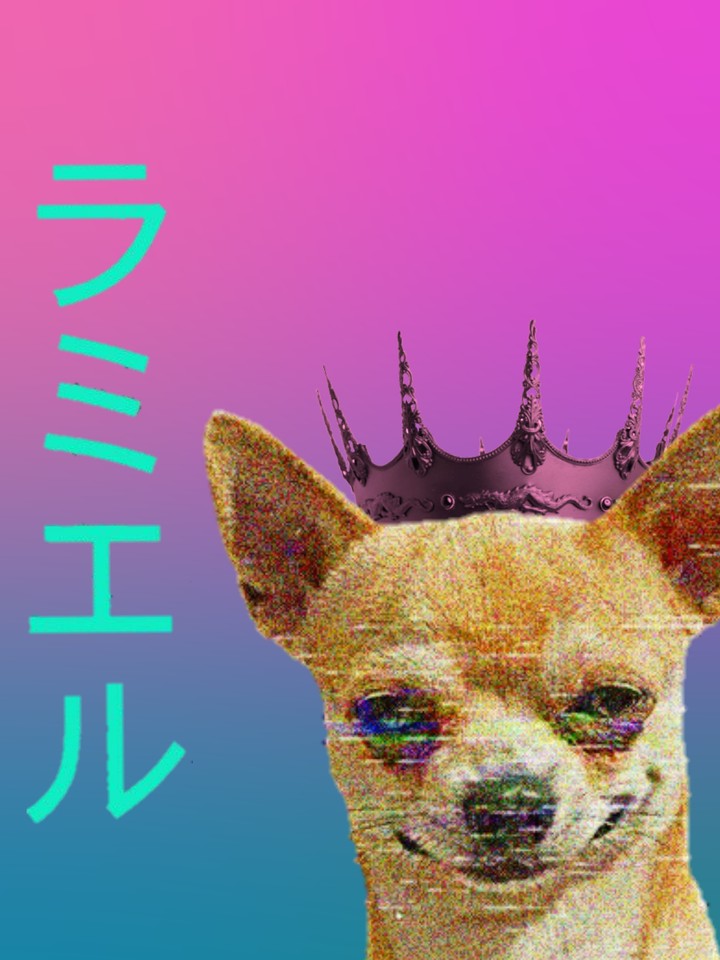A DOGIN