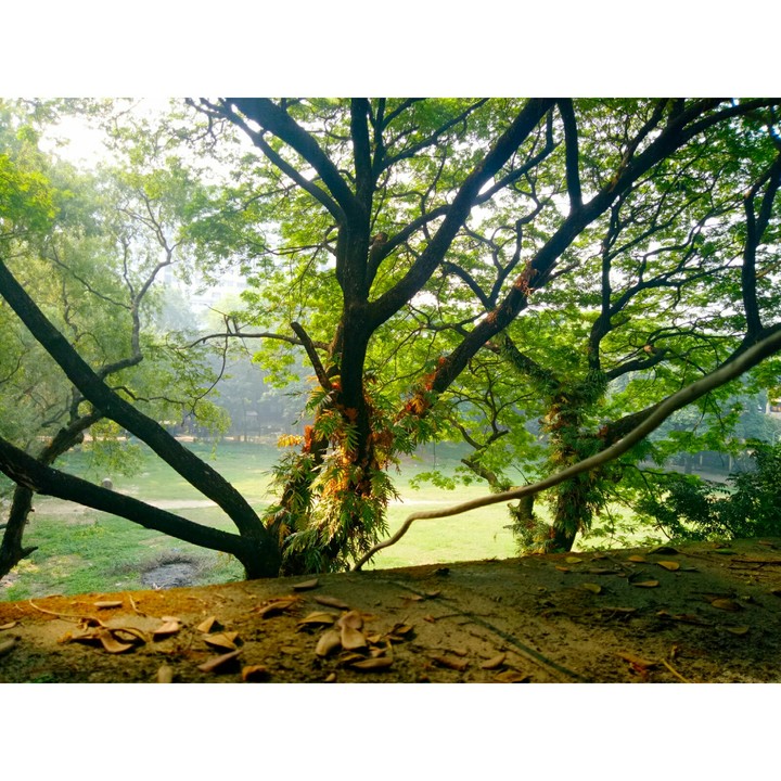 dhaka college