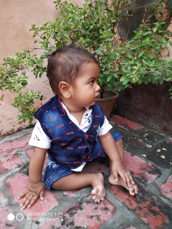 jat