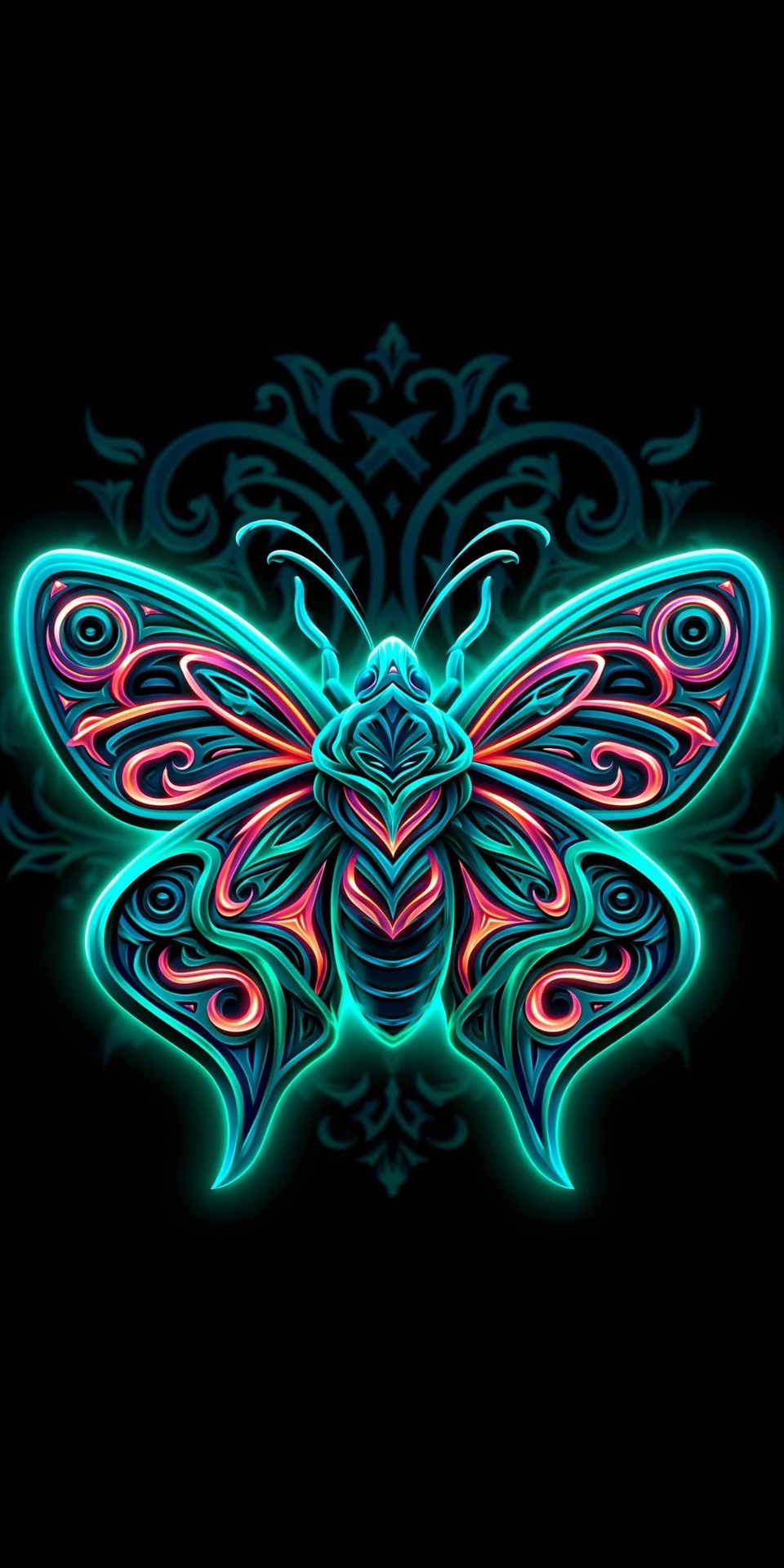 тапети insect, arthropod