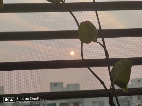 New Year Morning