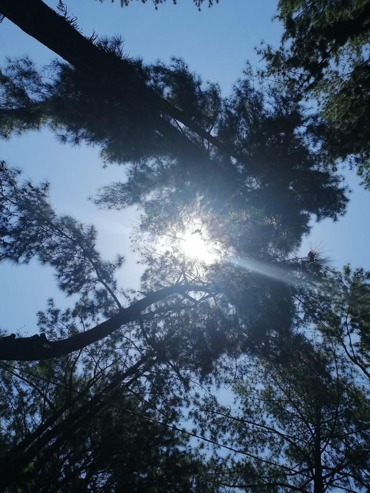 Shine Through