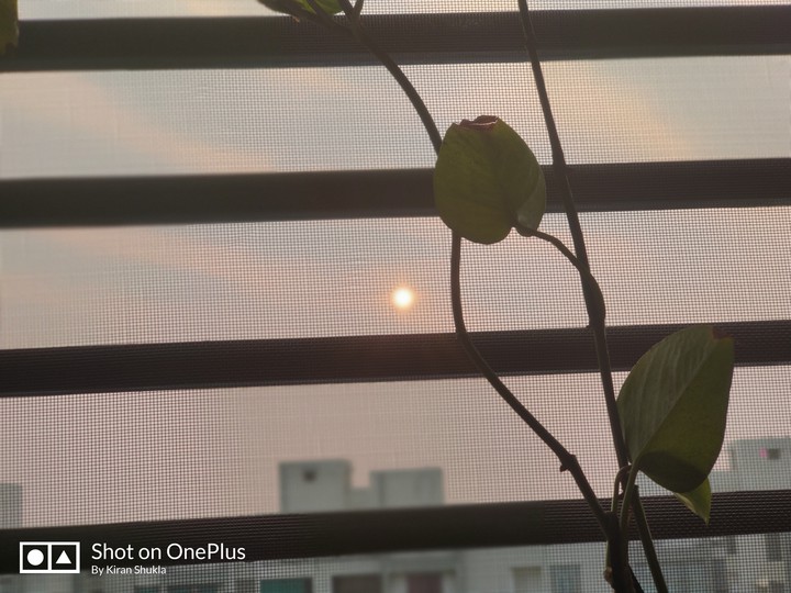 New Year Morning