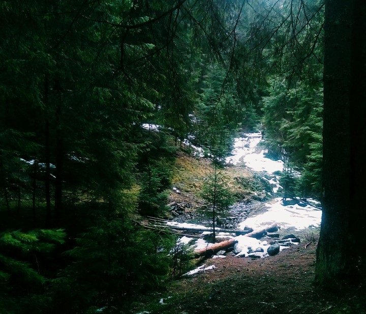 Nature is my love