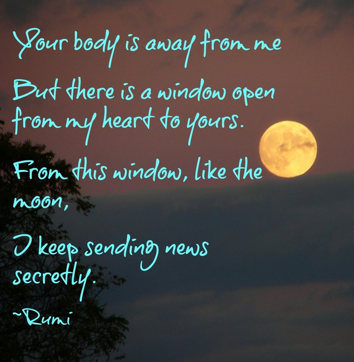 Rumi