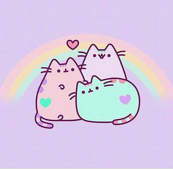3 cats