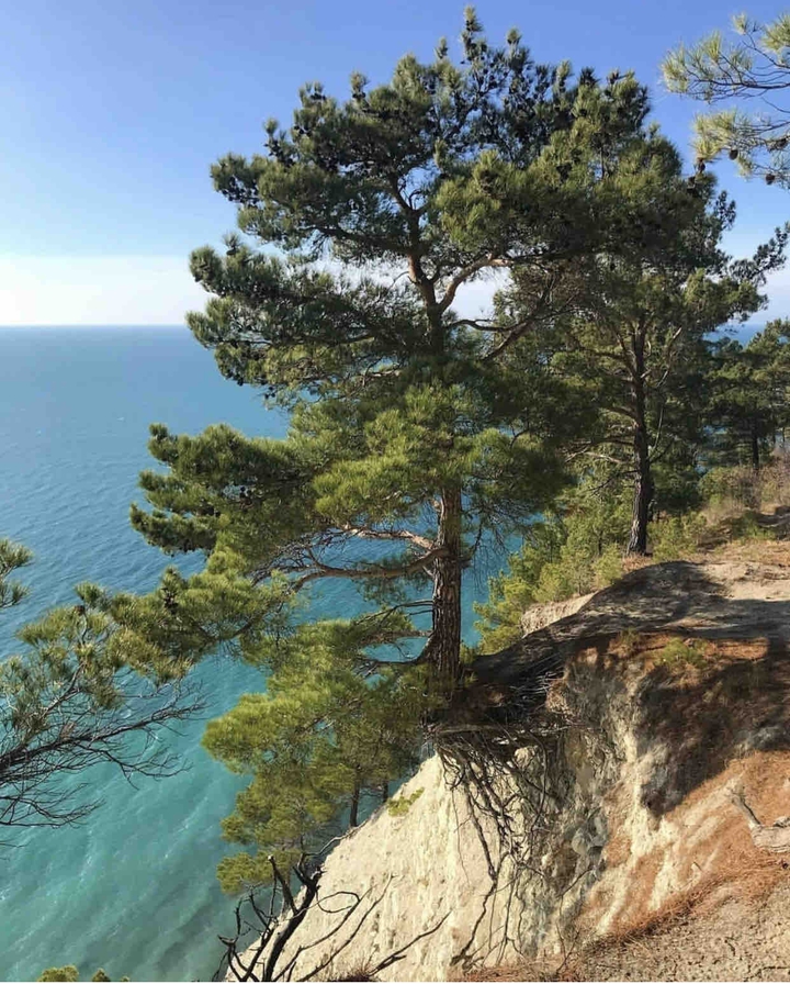 море