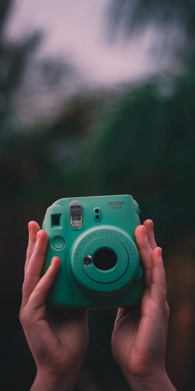 polaroid