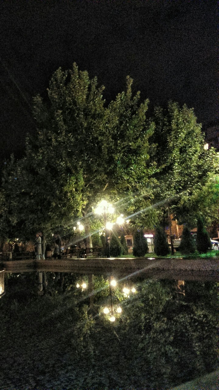 звёздная ночь